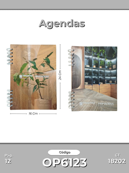 Agendas