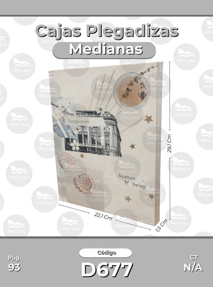 Cajas Plegadizas Medianas