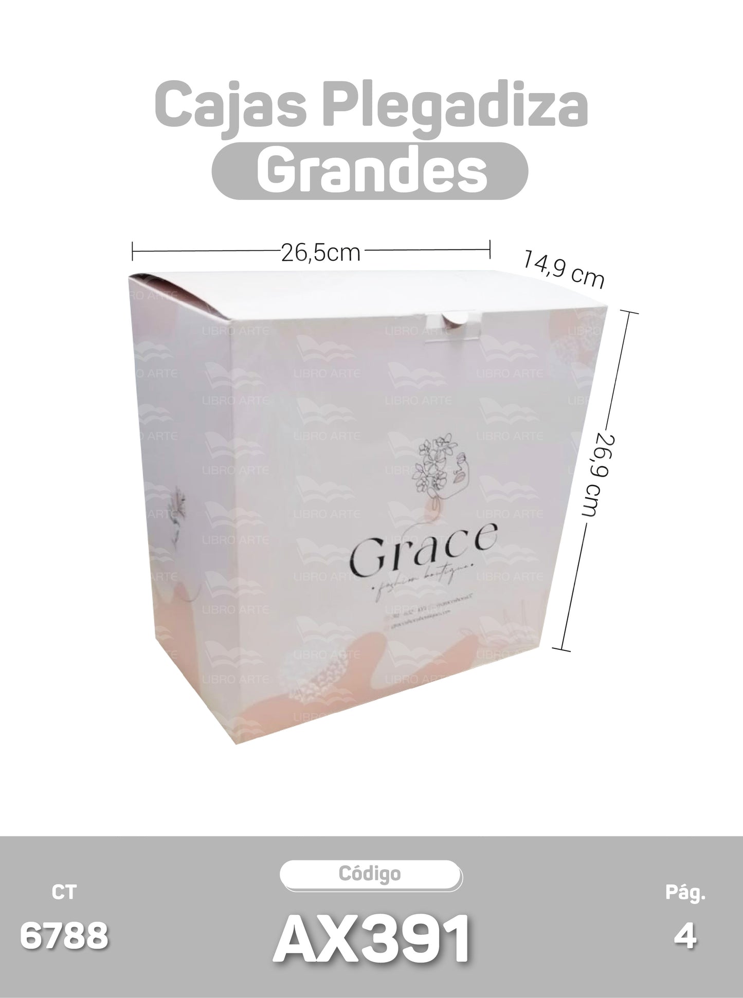 Cajas Plegadizas Grandes