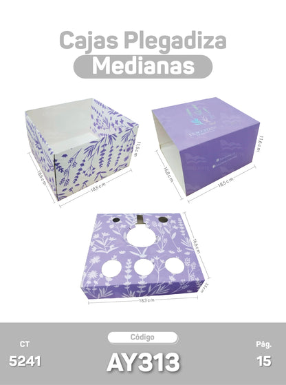 Cajas Plegadizas Medianas