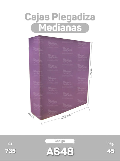 Cajas Plegadizas Medianas