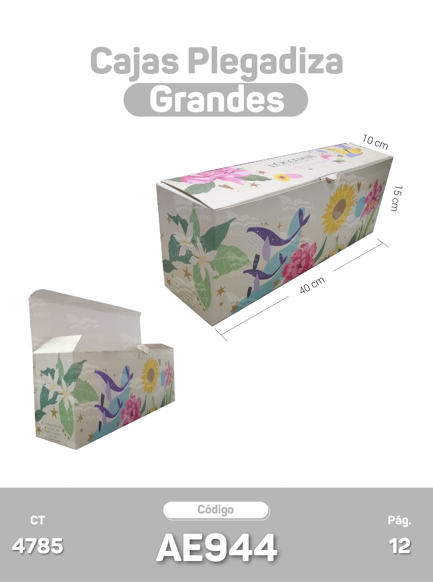 Cajas Plegadizas Grandes
