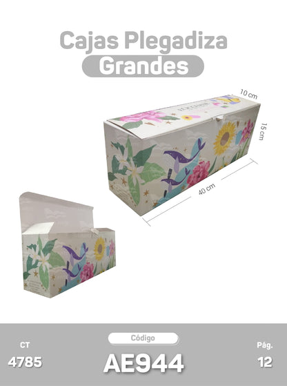 Cajas Plegadizas Grandes